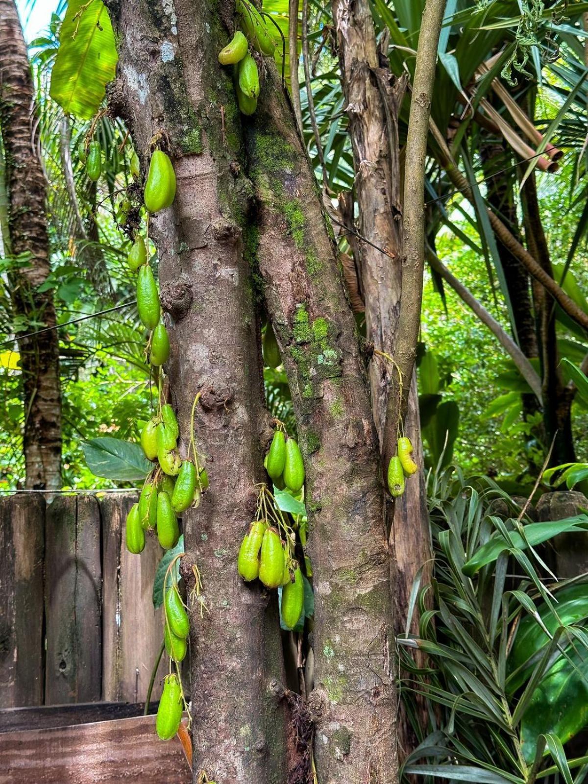 Casa Da Gloria Trancoso - Pousada Boutique Eksteriør bilde